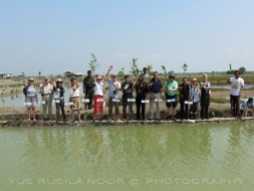 Para Penasihat Wetlands International menanam mangrove di Banten